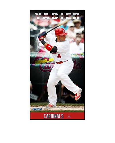 Steiner Sports Memorabilia Yadier Molina St. Louis Cardinals Player Profile Framed Photo