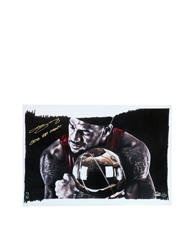 Steiner Sports Memorabilia Limited Edition LeBron James Magic Moment Signed Photo