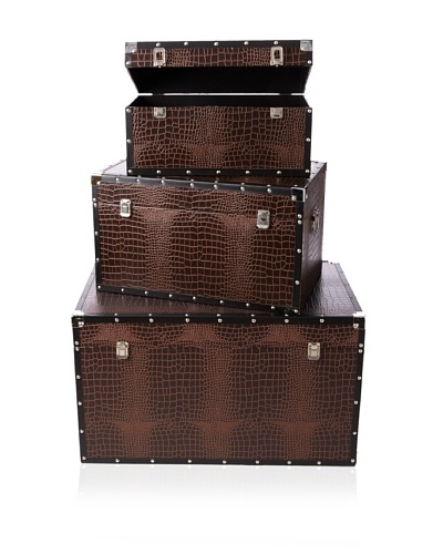 Firefly Home Collection Set of 3 Dark Brown Trunk Sets