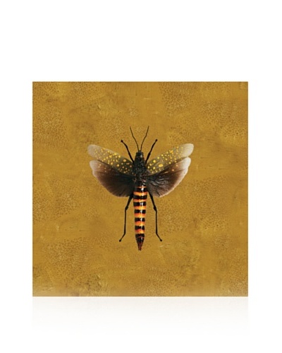 Studio A Grasshopper #2 Gold, 10″