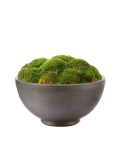 Forever Green Art Moss Bowl