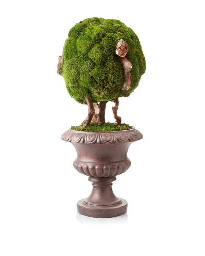 Forever Green Art Moss Ball Bonsai