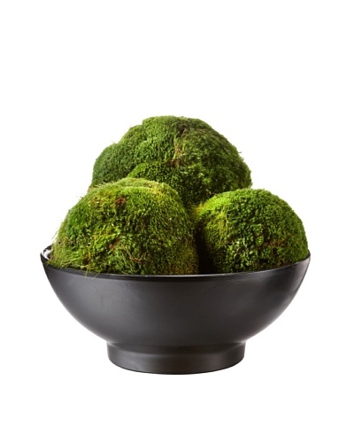 Forever Green Art Moss Ball Set with Italian Clay Bowl