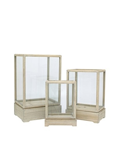 Three Hands Set of 3 Wood/Glass Terrariums