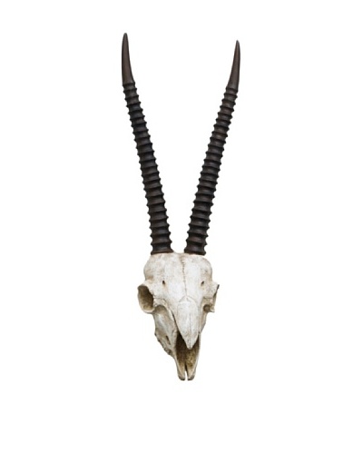 Three Hands Antelope Skull Wall Decoration