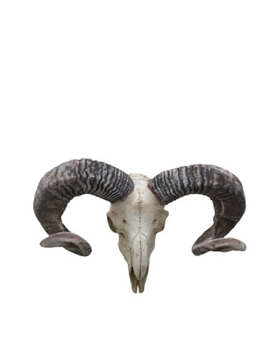 Three Hands Ram Skull Wall Decoration