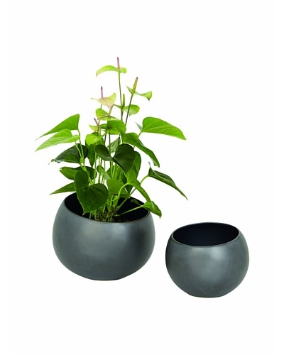 Torre & Tagus Rock Ball Pot [Black]