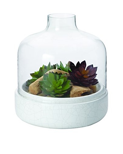 Torre & Tagus Corin Crackle Glaze Terrarium, Wide