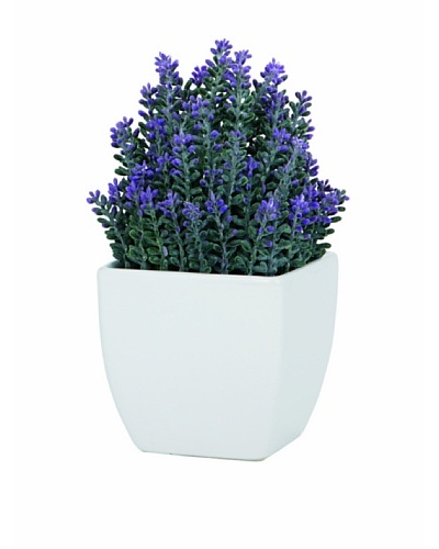 Torre & Tagus Tapered Ceramic Potted Faux Lavender, White, Small