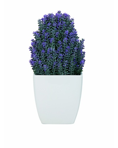 Torre & Tagus Tapered Ceramic Potted Faux Lavender, White, Large