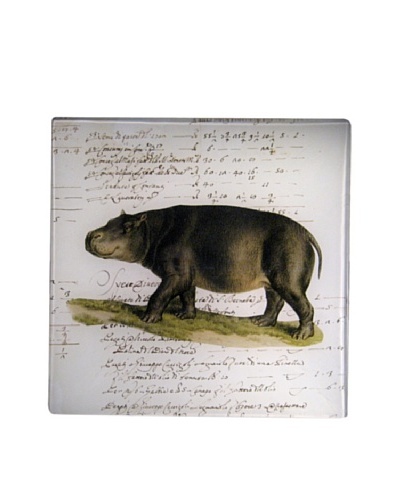 Twigs and Moss African Series Hippopotamus Glass Tray