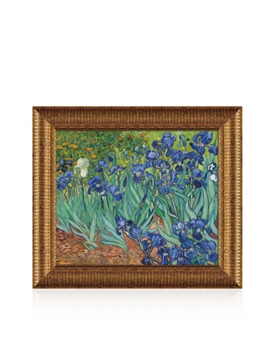 Vincent van Gogh Irises In The Garden Framed Canvas