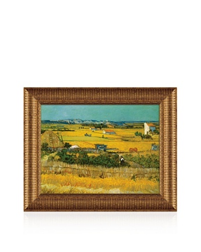 Vincent van Gogh Field Framed Canvas