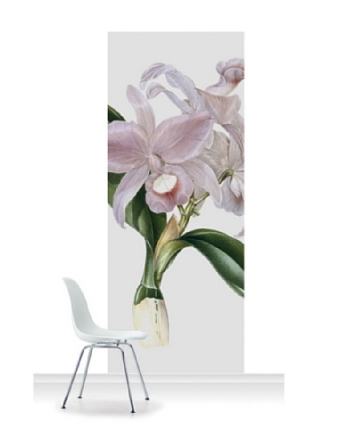 Victoria and Albert Museum Orchid - Cattelya Skinerii Standard Mural [Accent]