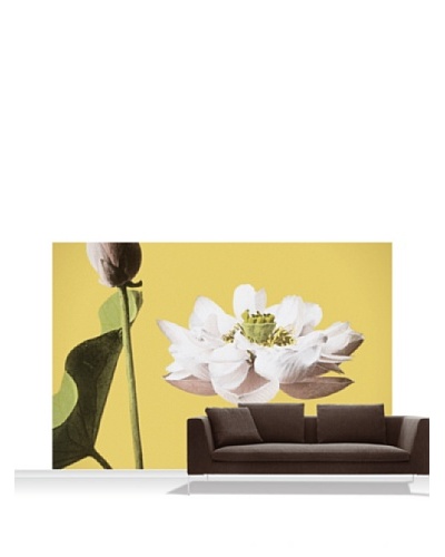 Victoria and Albert Museum Lotus Mural, Standard, 12′ x 8′