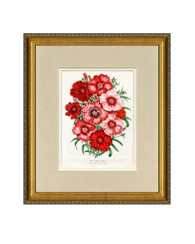 Vintage Print Gallery Antique Hand-Finished Rhododendron Print, Circa 1850’s