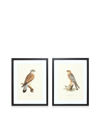Wright Brothers Bird Prints, C. 1920, Pair