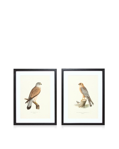 Wright Brothers Bird Prints, C. 1920, Pair