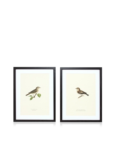 Wright Brothers Bird Prints, C. 1920, Pair