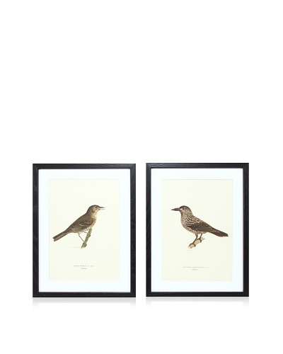 Wright Brothers Bird Prints, C. 1920, Pair