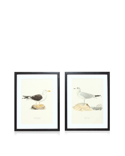 Wright Brothers Bird Prints, C. 1920, Pair