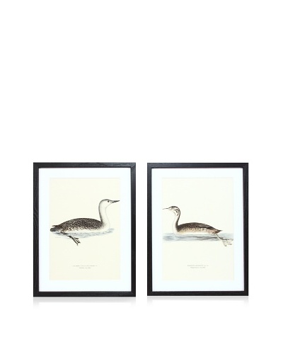 Wright Brothers Bird Prints, C. 1920, Pair