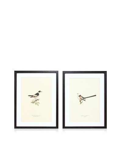 Wright Brothers Bird Prints, C. 1920, Pair