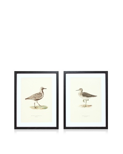 Wright Brothers Bird Prints, C. 1920, Pair