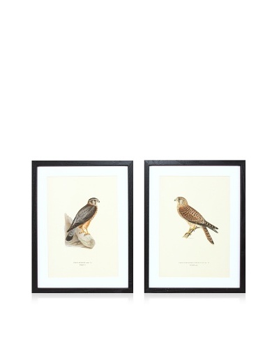 Wright Brothers Bird Prints, C. 1920, Pair