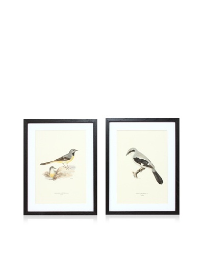 Wright Brothers Bird Prints, C. 1920, Pair