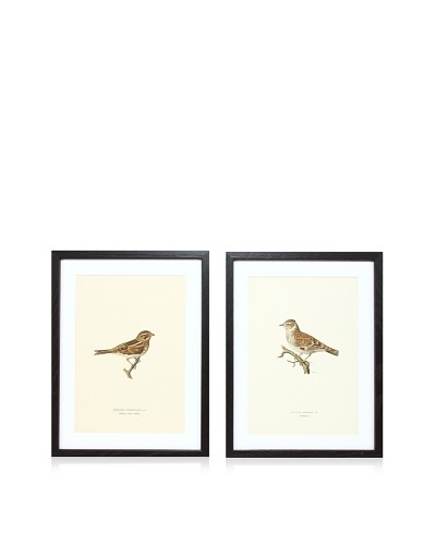 Wright Brothers Bird Prints, C. 1920, Pair