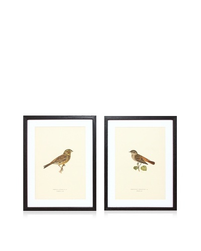 Wright Brothers Bird Prints, C. 1920, Pair