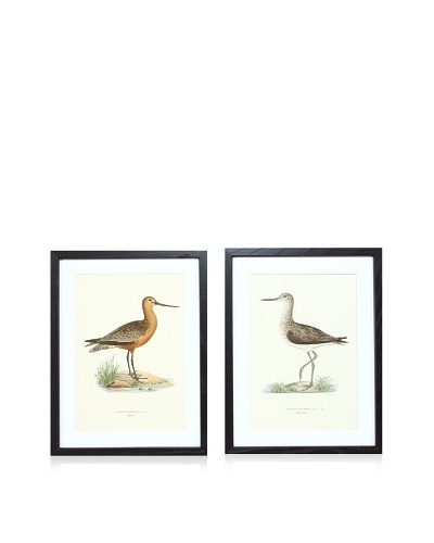 Wright Brothers Bird Prints, C. 1920, Pair