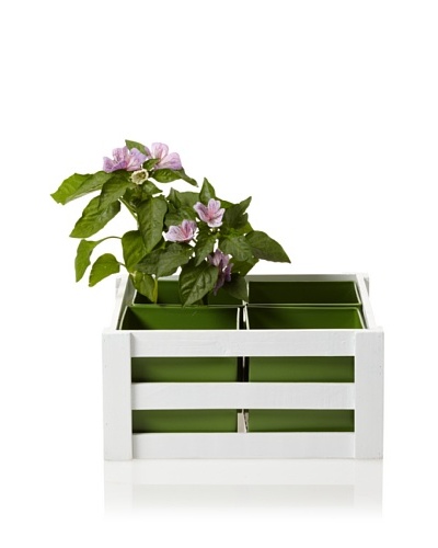 Wald Imports Wooden Crate with 4 Square Metal Inserts, Green/White
