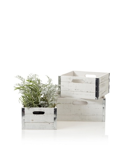 Wald Imports Set of 3 Square Wood Crates with Metal Trim, Distressed White