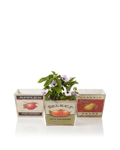 Wald Imports Set of 3 Wood Pot Covers with Retro Fruit Labels, Assorted