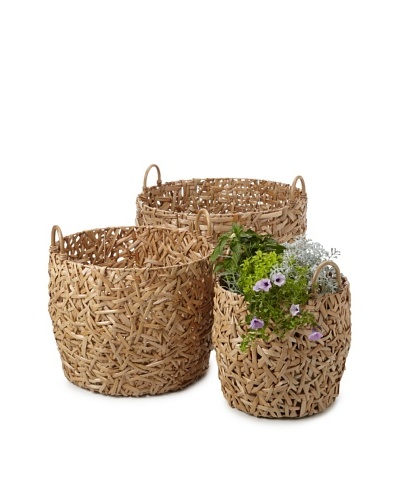 Wald Imports Set of 3 Oversized Round Random-Weave Seagrass Baskets/Planters [Natural]