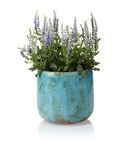 Wald Imports Decorative Ceramic Planter, Antique Blue