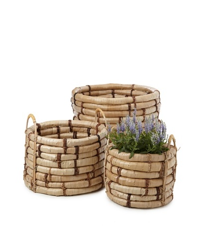 Wald Imports Set of 3 Oversized Buri Do Knots Planters, Natural