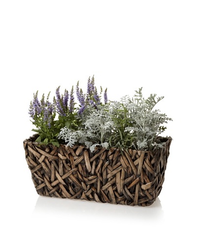 Wald Imports Small Rectangular Random Weave Seagrass Planter [Espresso]