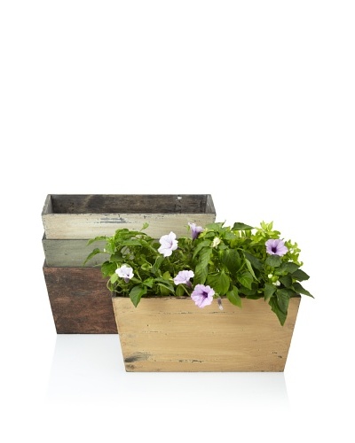 Wald Imports Set of 4 Rustic Garden Planters, Assorted
