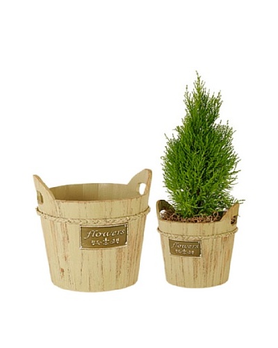 Wald Imports Set of 2 Vintage-Look Wooden Planters with Metal Plate