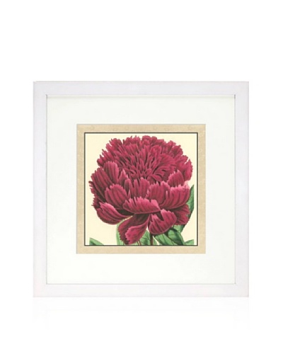Small Peony Collection V, White/White