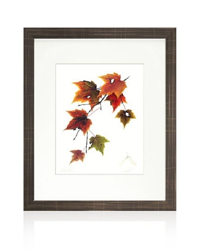 Maple Tree, Brown/White