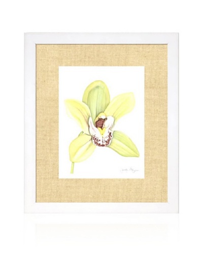 Orchid Beauty II, White/Bamboo