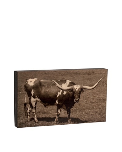 Walnut Hollow “Longhorn Bull” Wooden Shadowbox Plaque