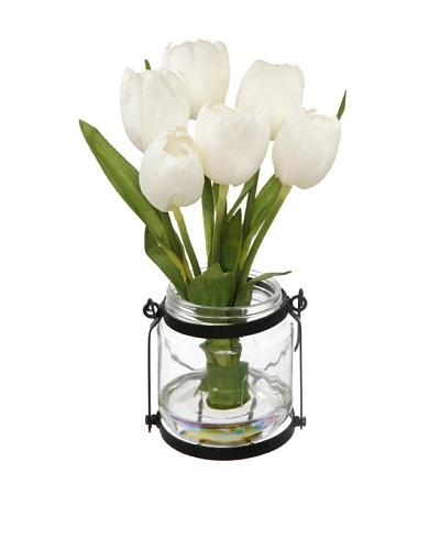 Winward Tulip in Country Jar