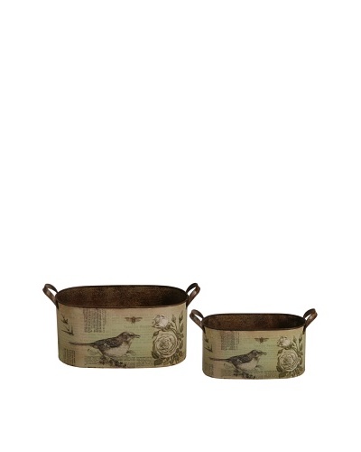 Winward Set of 2 Wild Bird Planters