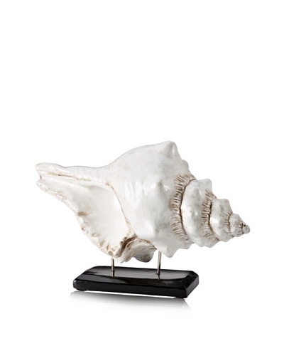 Winward Conch, Antique White