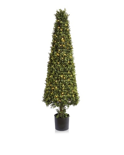 Winward Illuminated Boxwood Cone Topiary